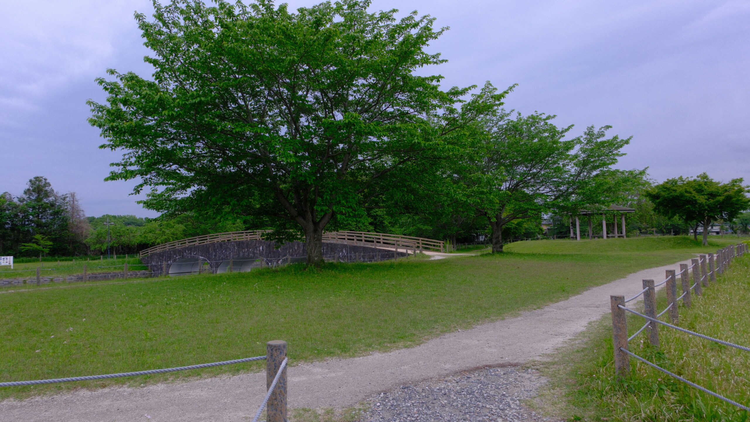 大沼公園　栃木県