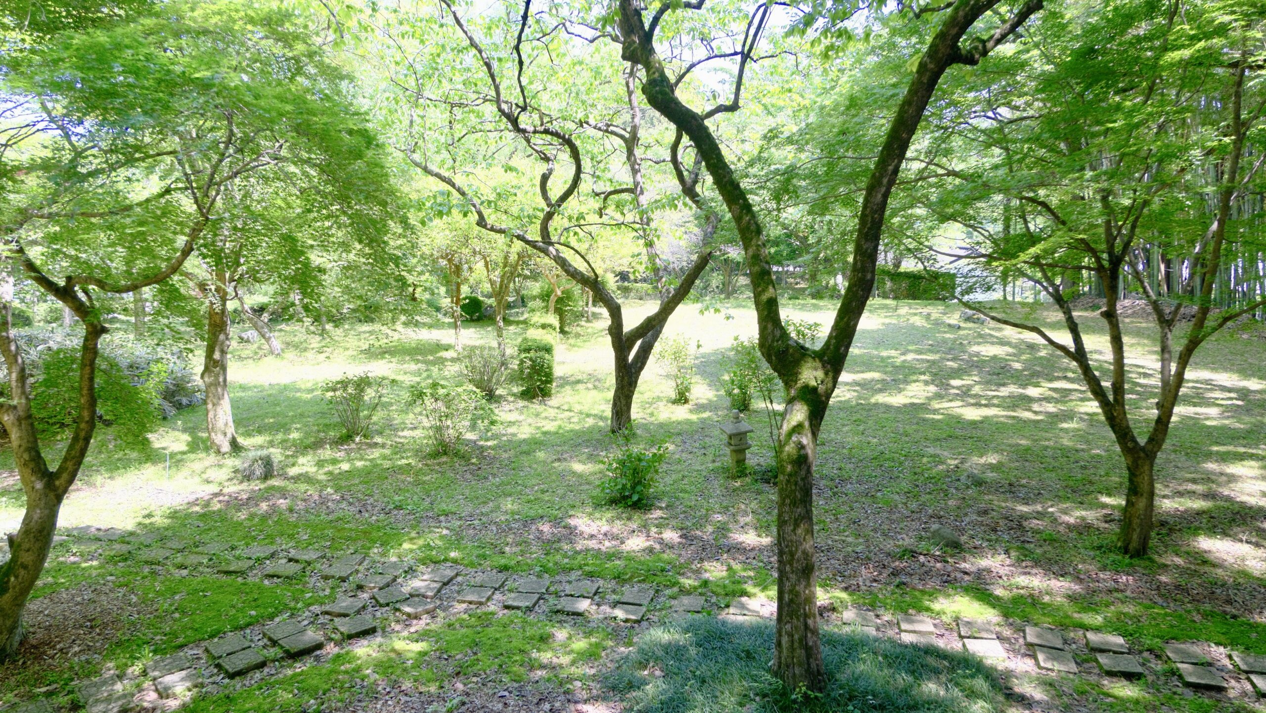 芭蕉の広場