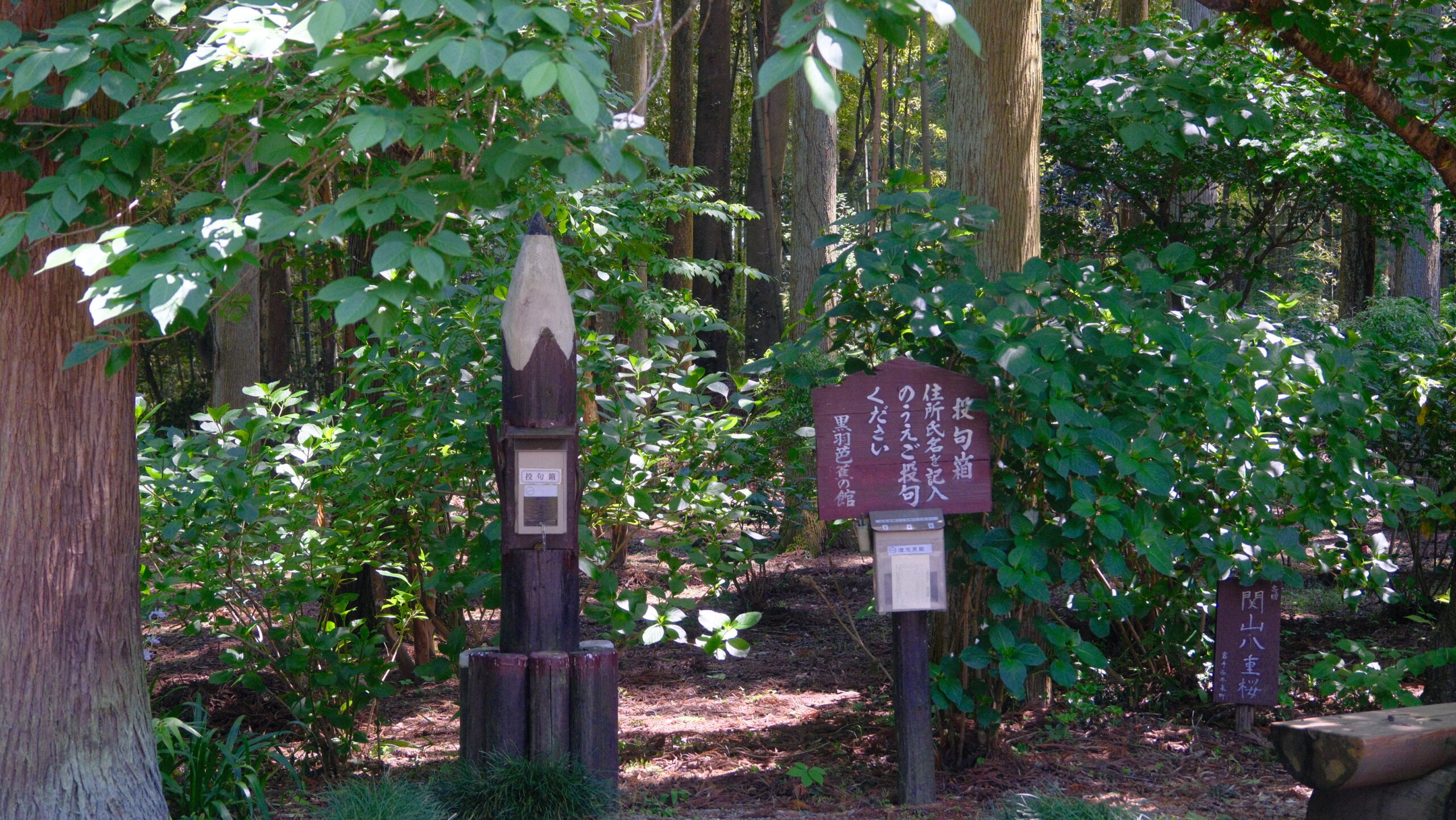 黒羽芭蕉の館　
