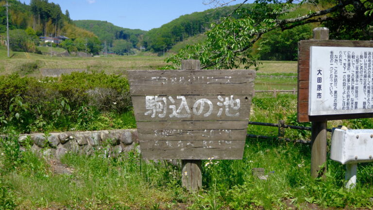 駒込の池 那須与一 鵜黒