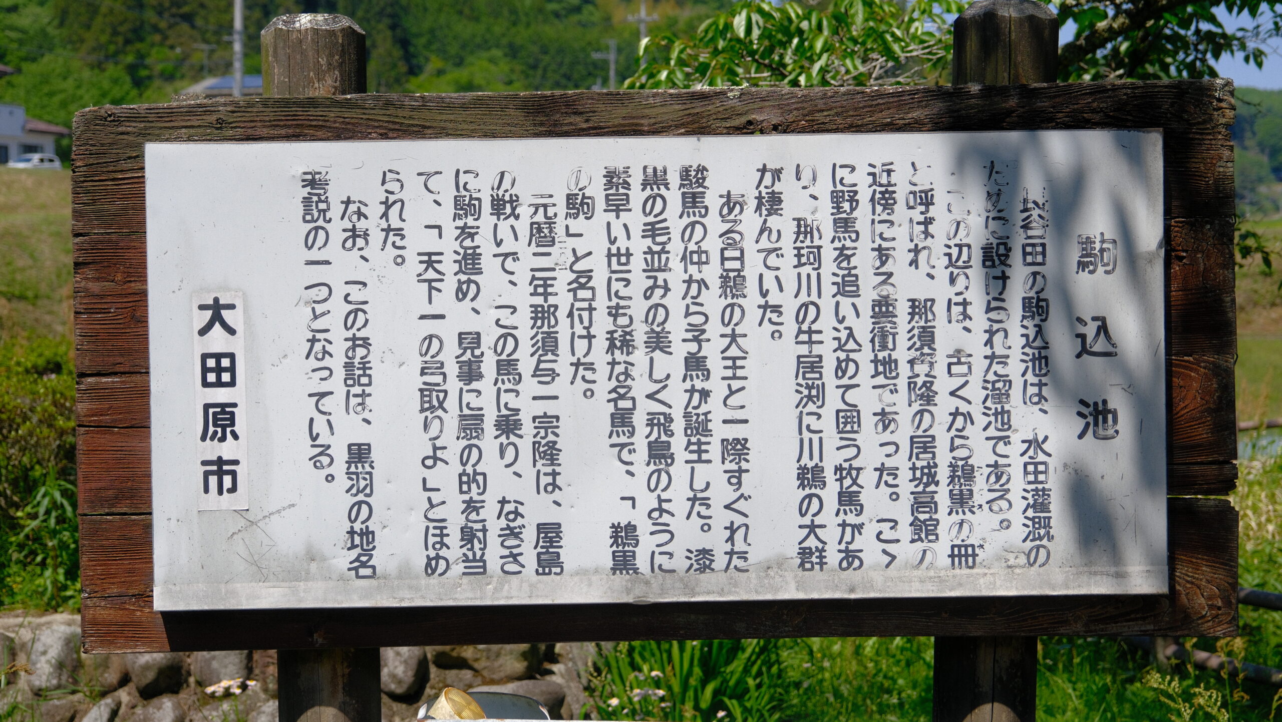 駒込の池　　説明看板
