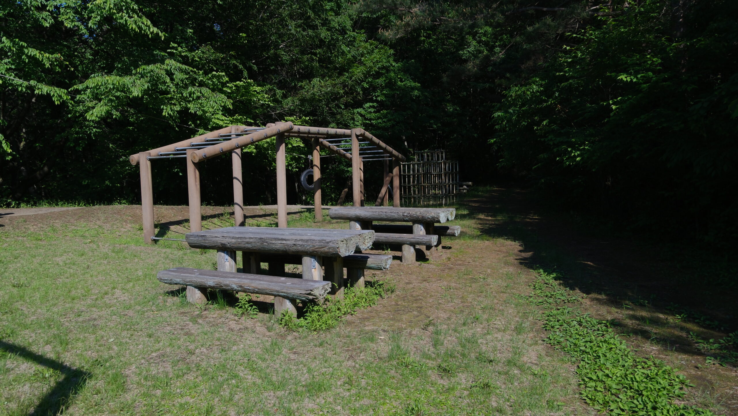 ふるさとの森公園　アスレチック