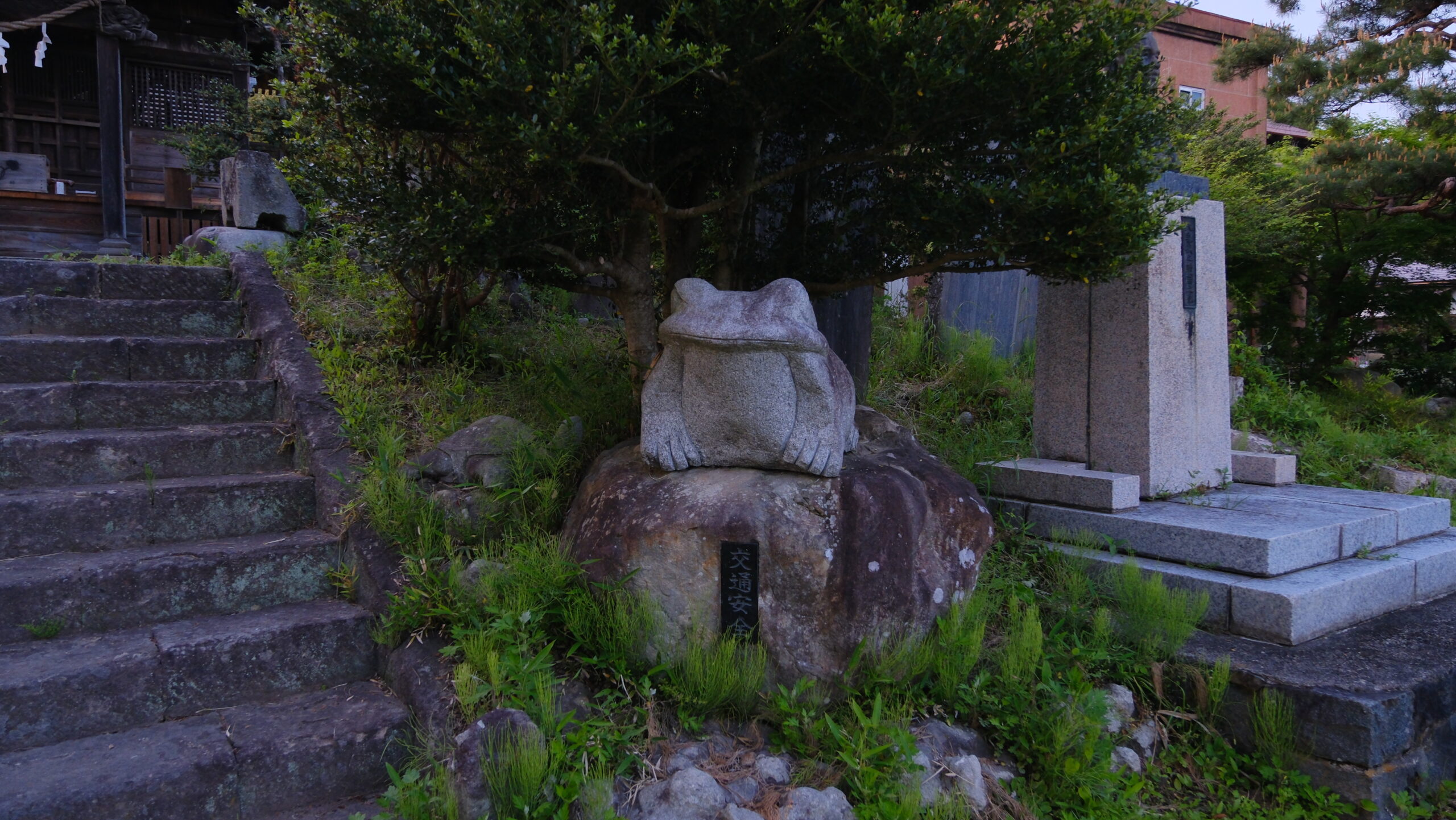 ガマ　別雷神社　那珂川町