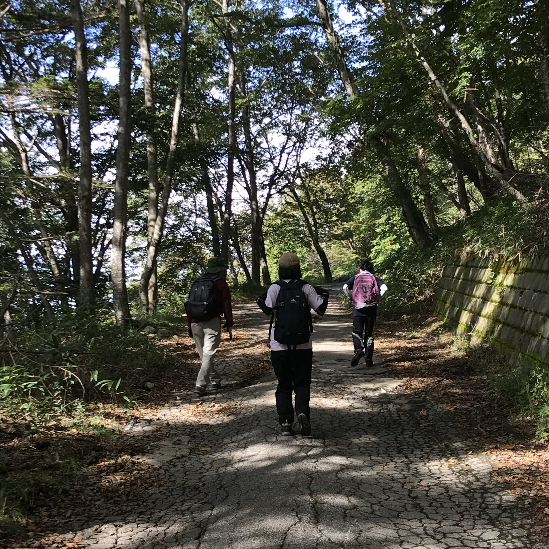 男体山　二合目