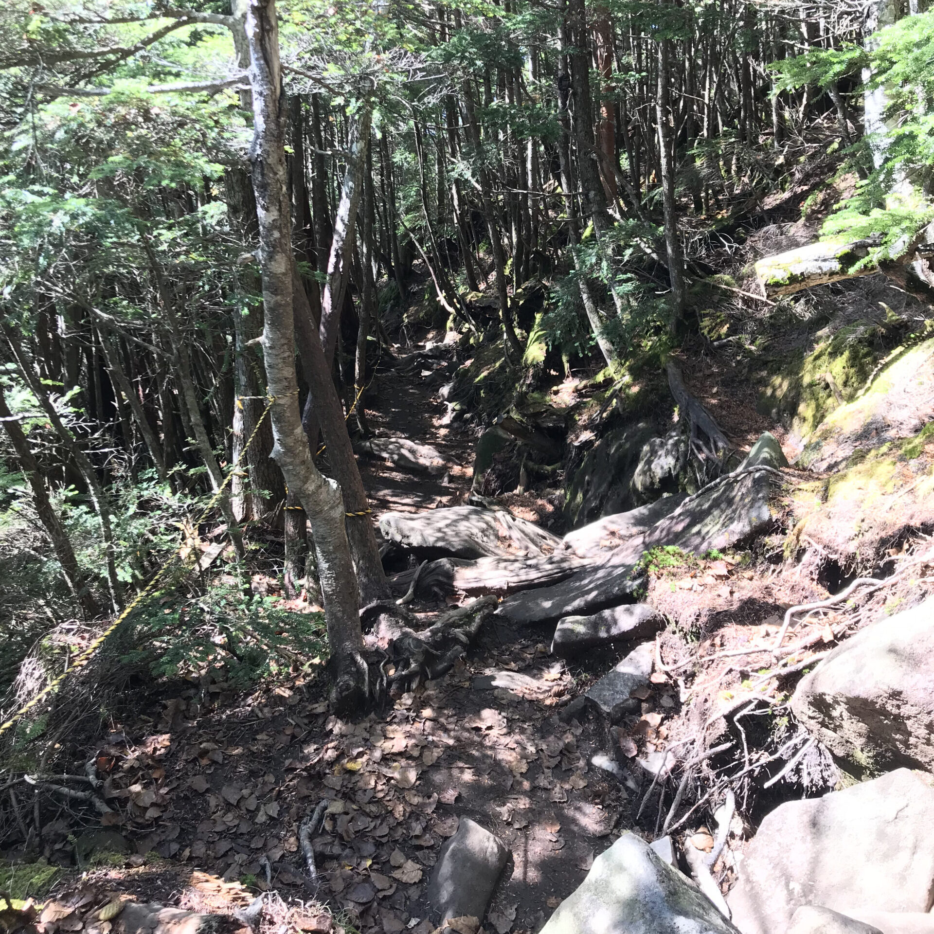 男体山　階段