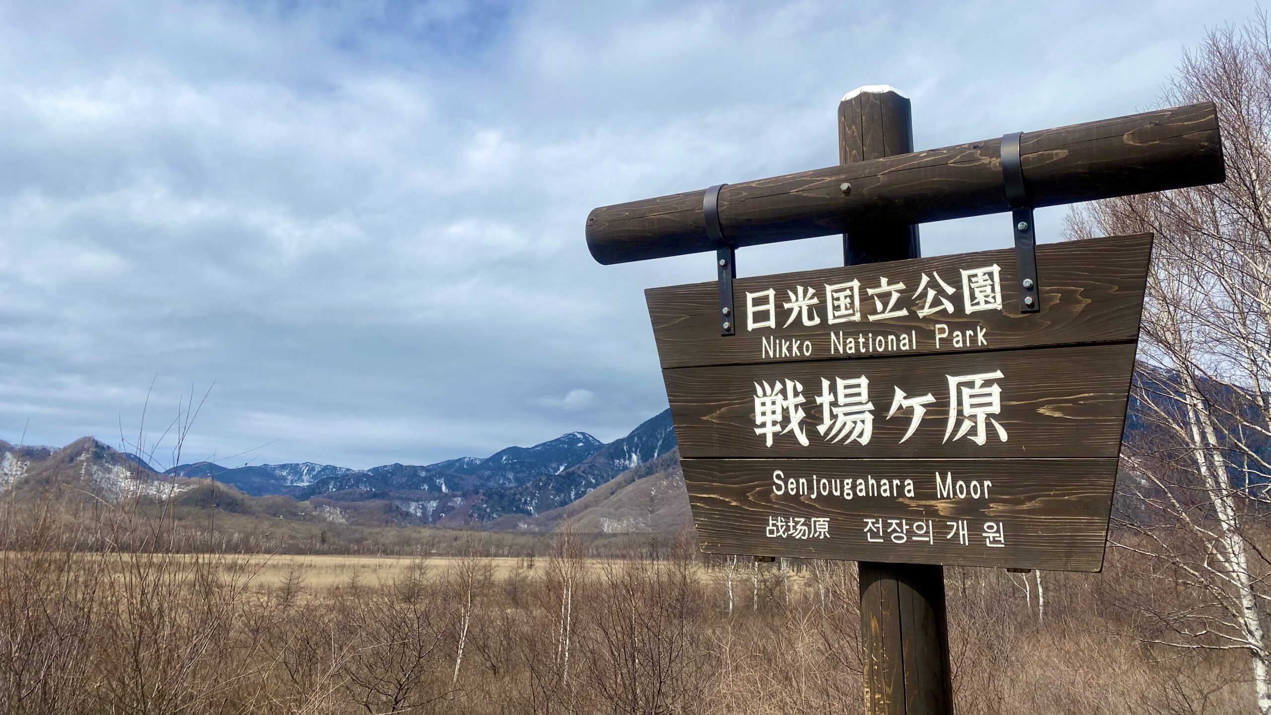 戦場ヶ原展望台