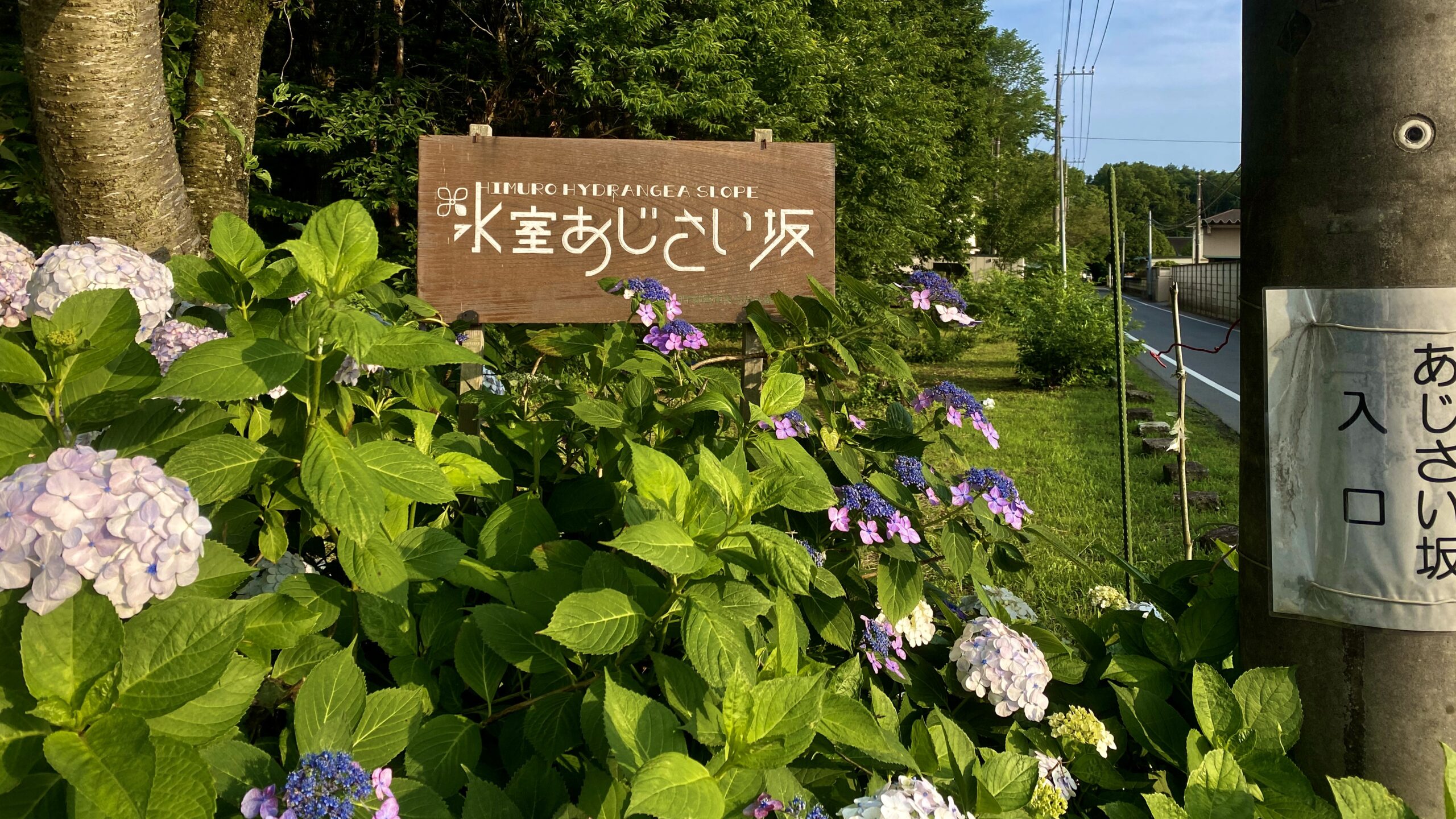 氷室あじさい坂　入り口　駐車場
