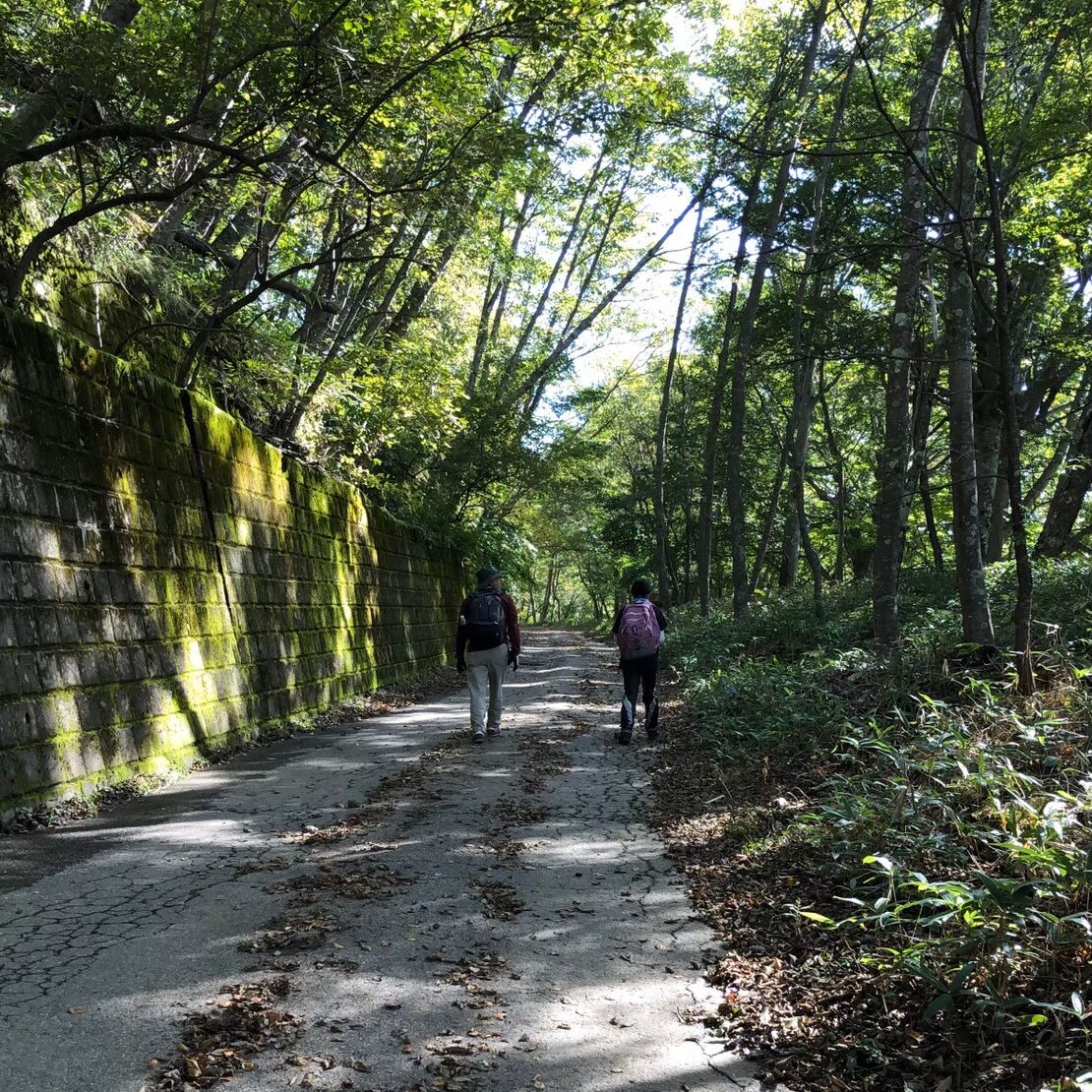 男体山　林道