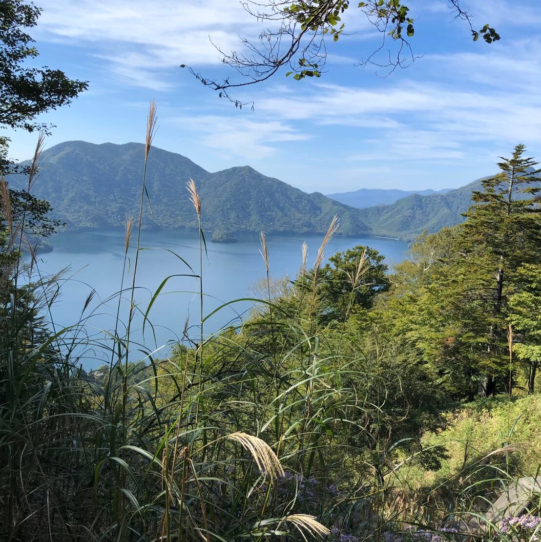 男体山　登山道