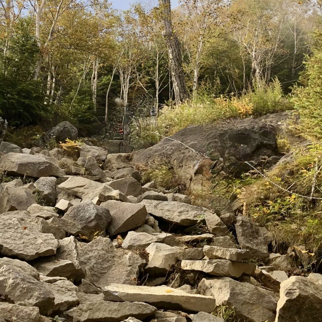男体山　登山道　岩