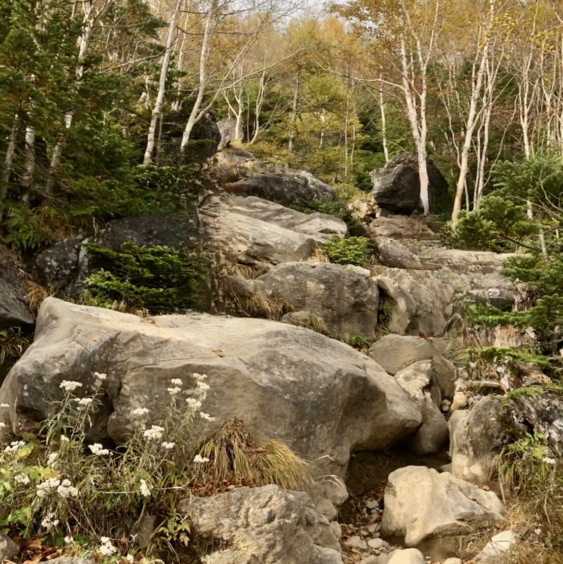男体山　登山道　岩