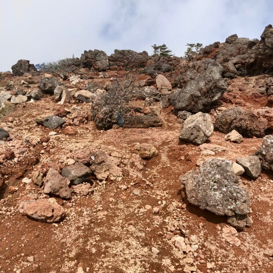 男体山　砂地
