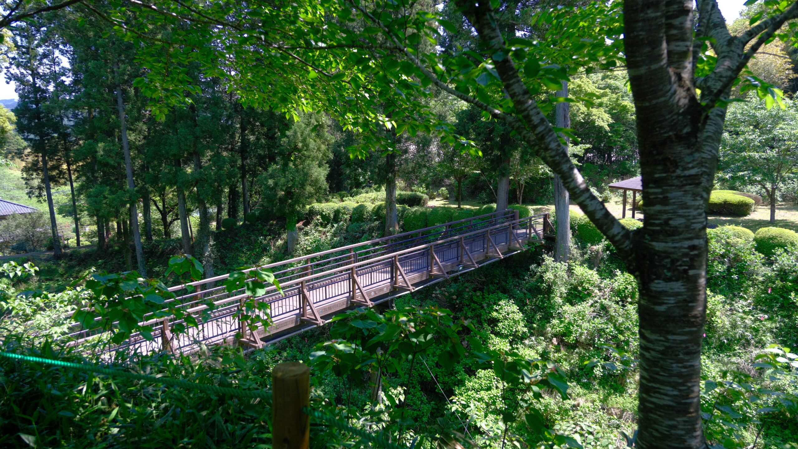 黒羽城址公園　堀