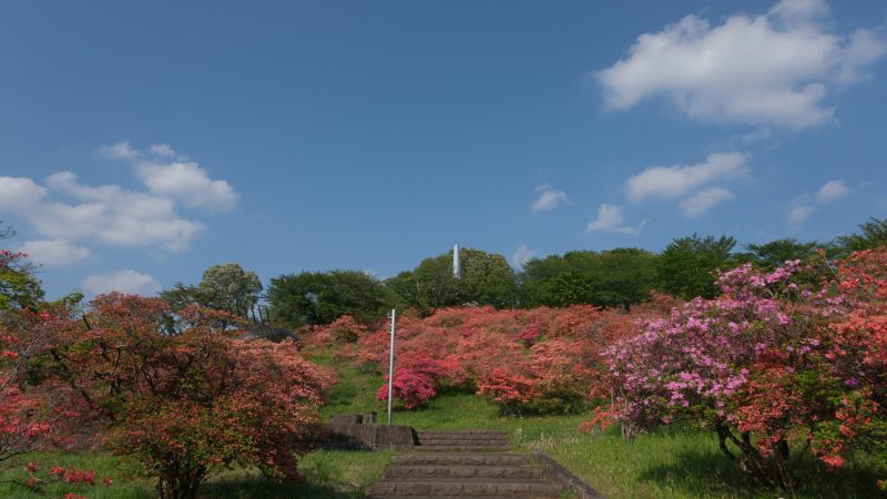 長峰公園　栃木