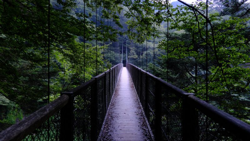 回顧の吊橋