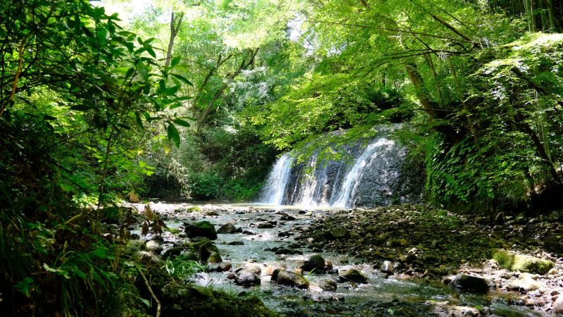 坪渕の滝