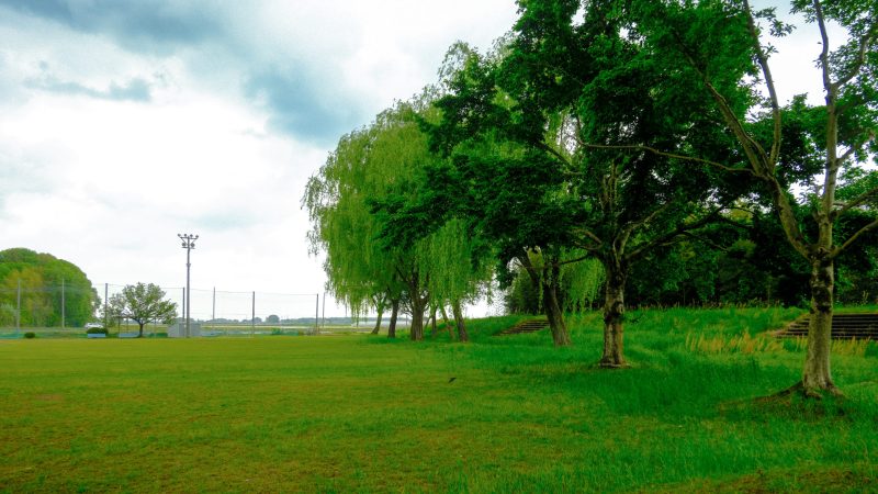 みのわ古城公園　下野市