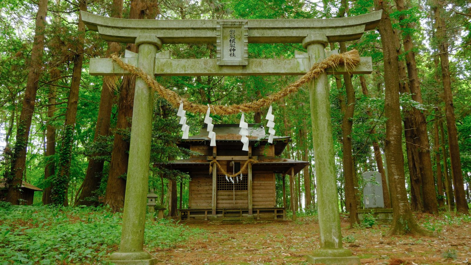 磐裂根裂神社　下野市　石鳥居