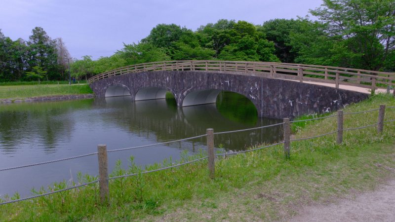 大沼公園　小山