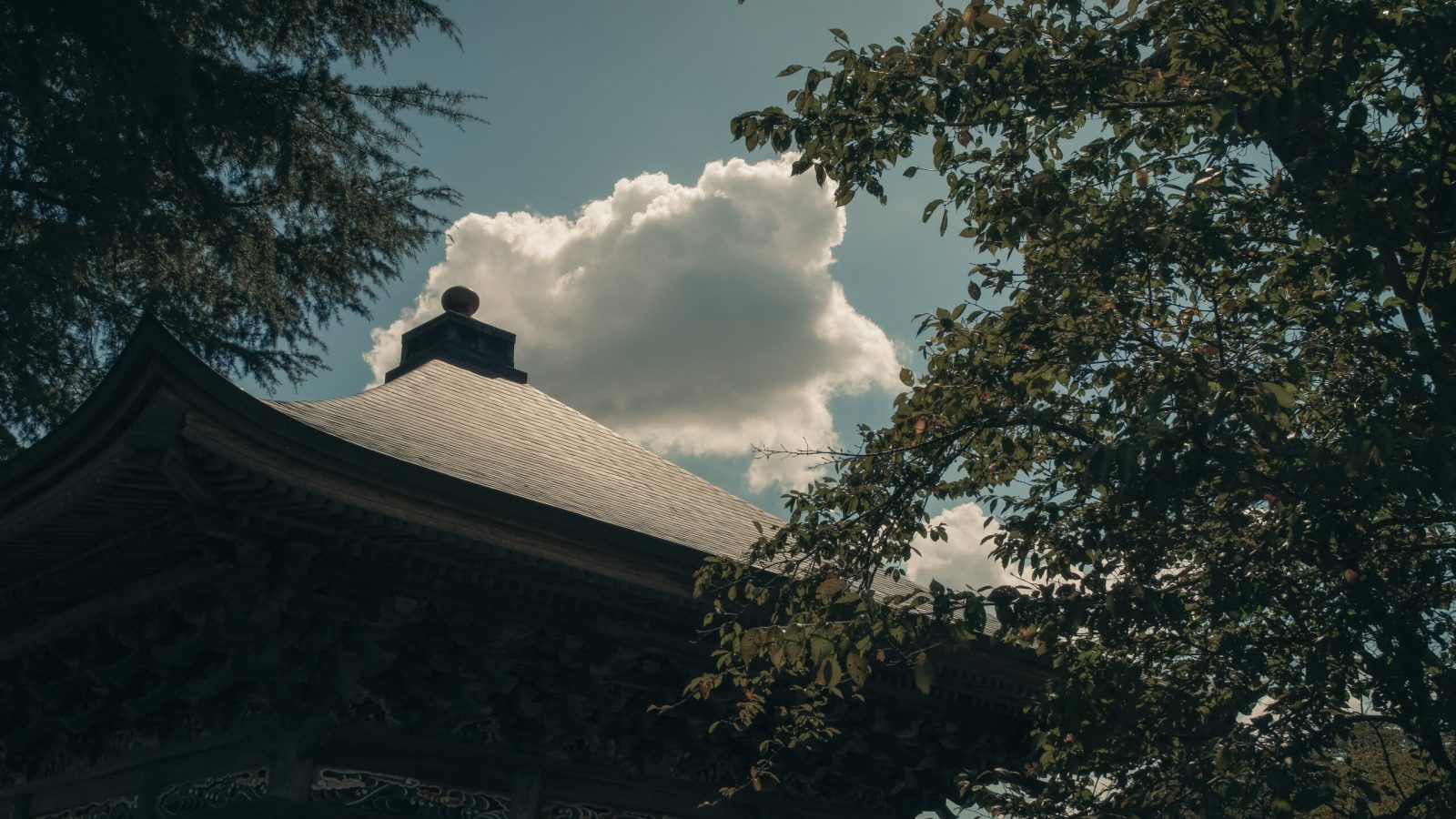 紫雲山 千手院