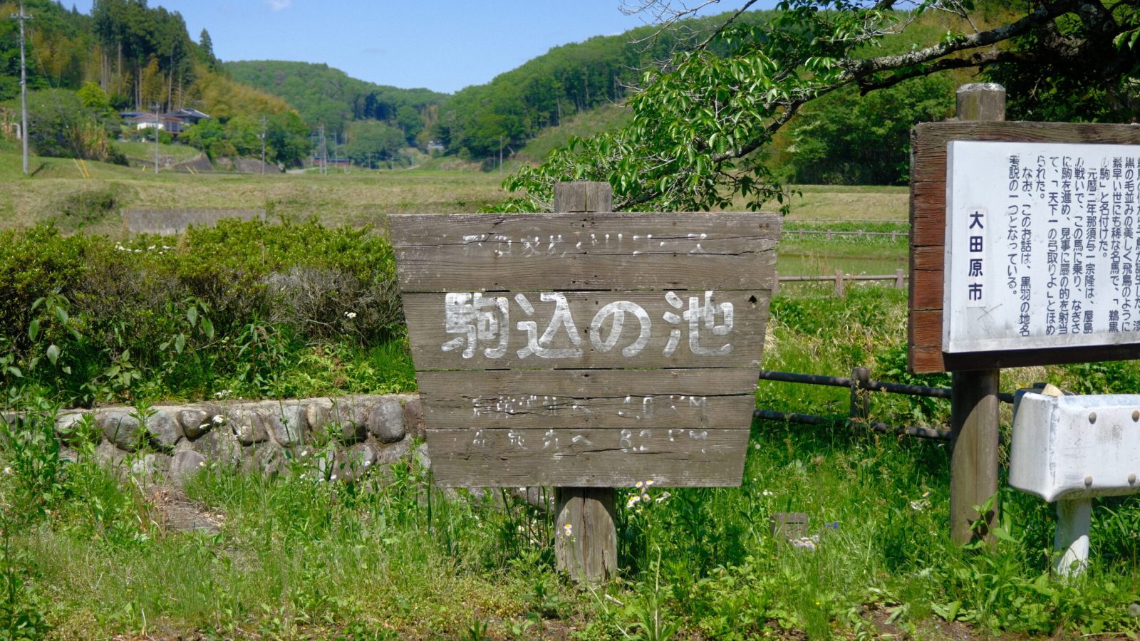 駒込の池　那須与一　鵜黒